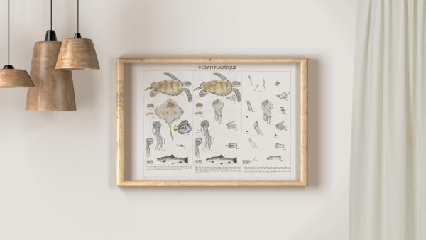illustration naturaliste