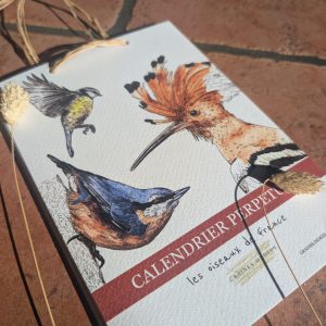 Calendrier perpetuel - planche éducative Oiseaux