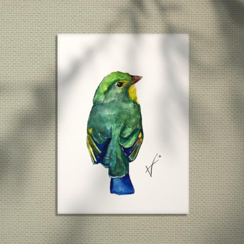 Oiseau vert - Aquarelle