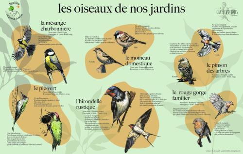 Panneaux pédagogiques des oiseaux de nos jardins